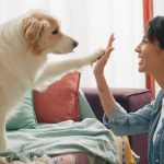 Dog owners say their bond with their pet is more satisfying than with their partner